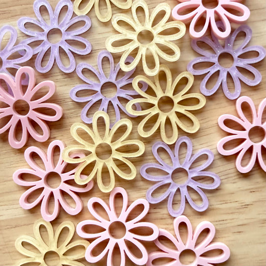 Daisy Blooms